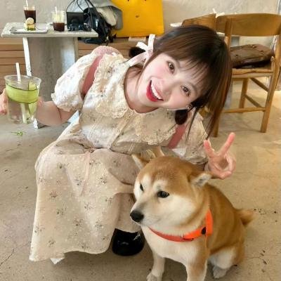 真爱如血第二季